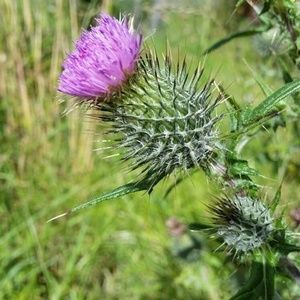 Meet your Posher, Lyn